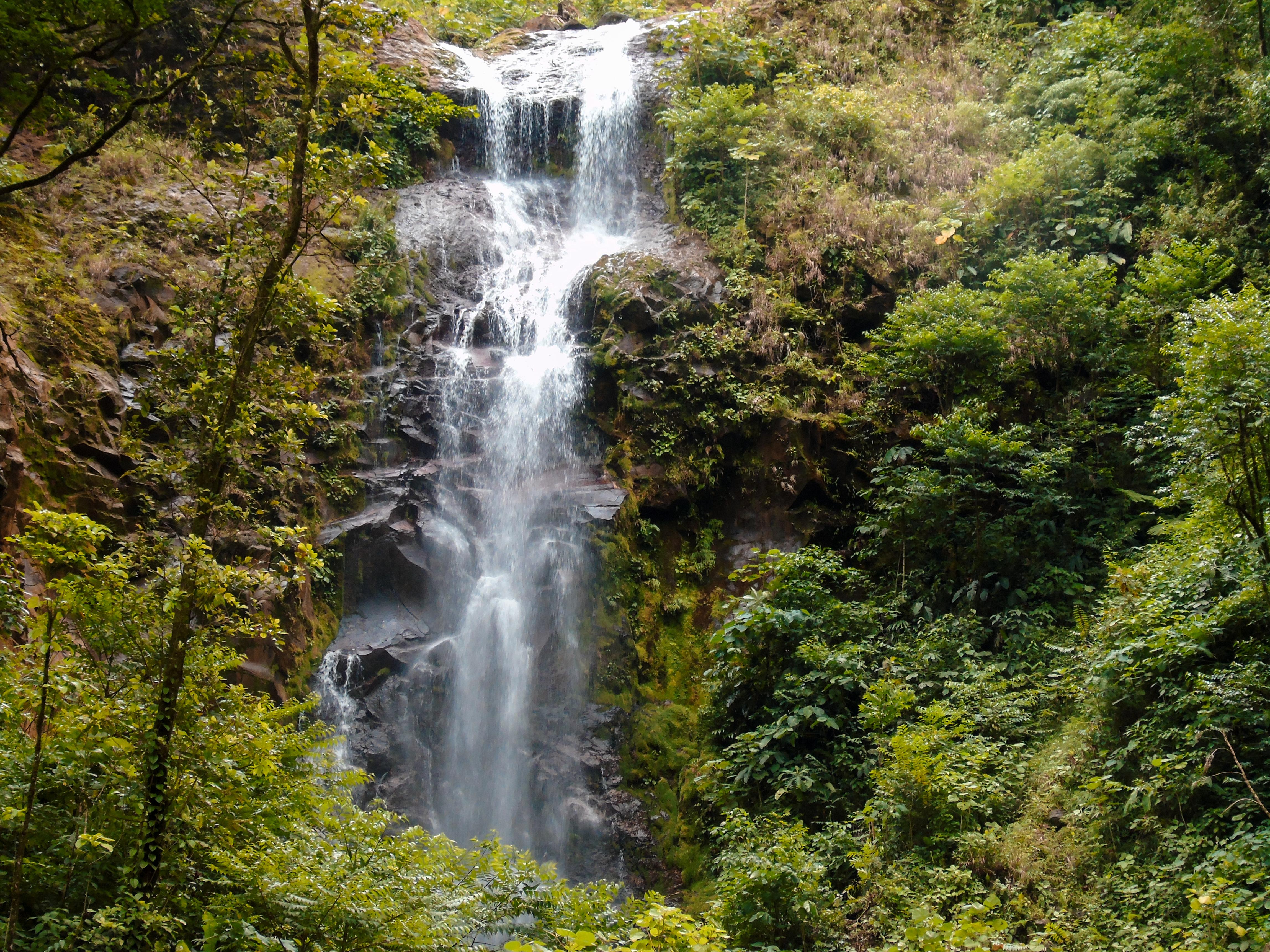 Cascadas Guacalito
